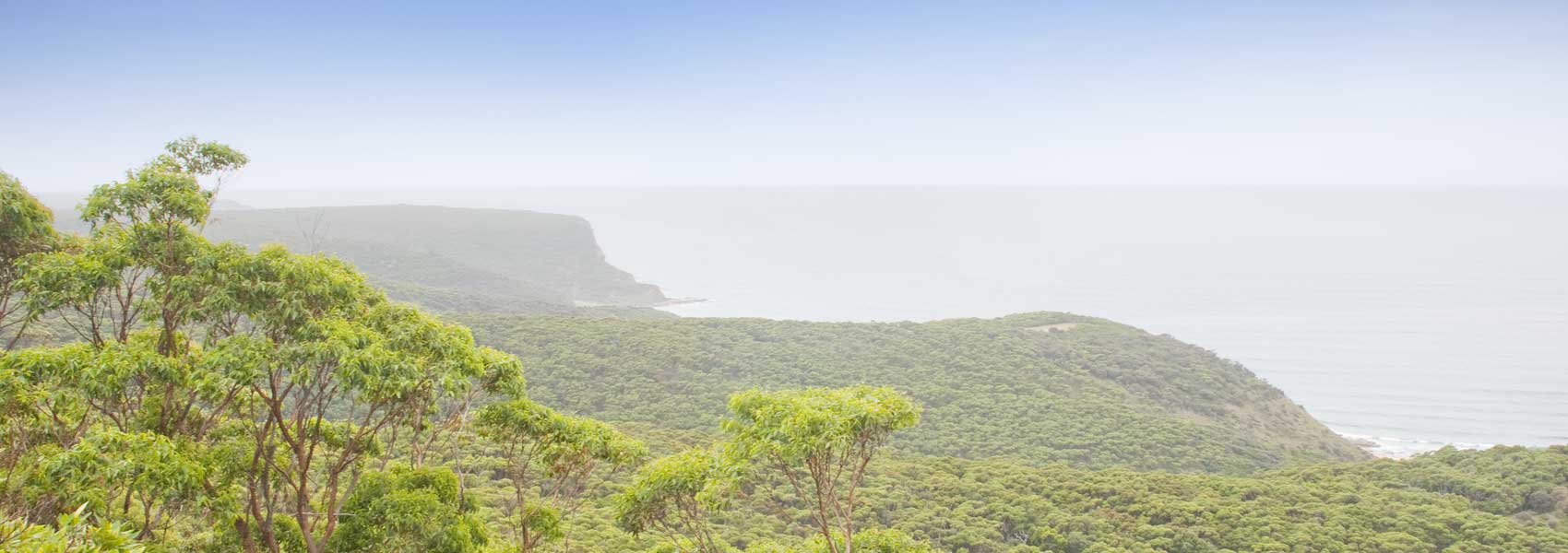 Royal National Park Accommodation